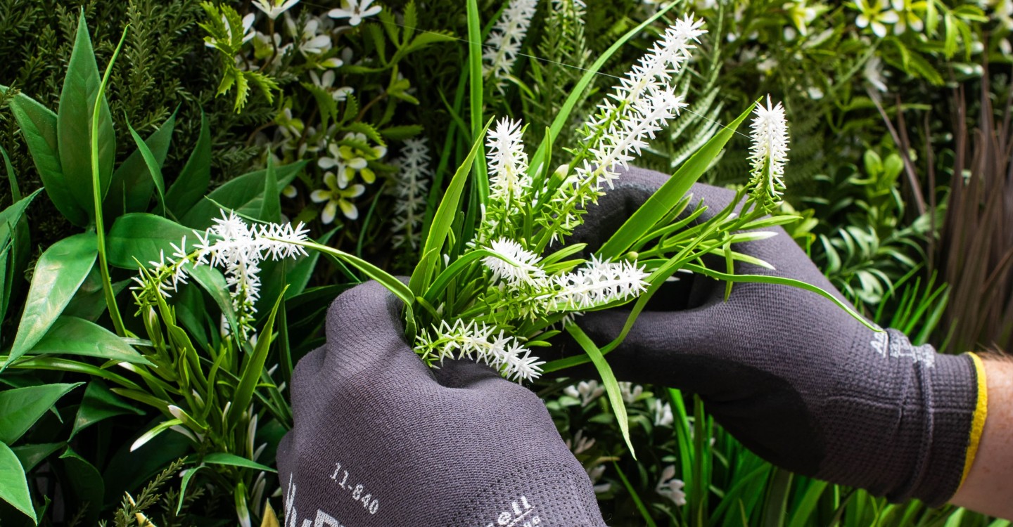 cleaning artificial plants with gloves on